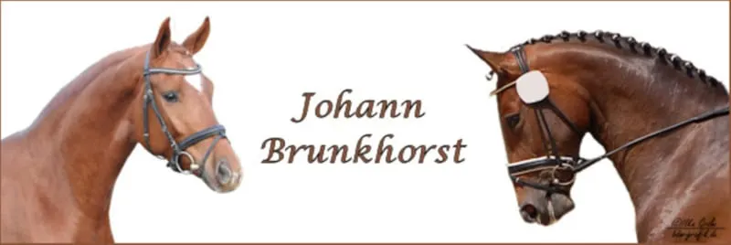 Zucht-, Ausbildungs- und Verkaufsstall aus dem Elbe-Weser-Dreieck sucht dringend eine/n Bereiter/in