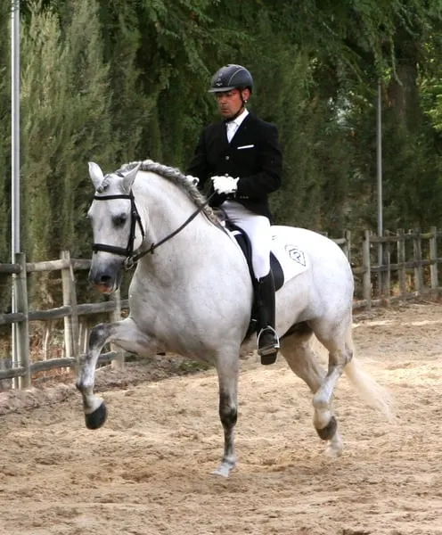 UCO GC III