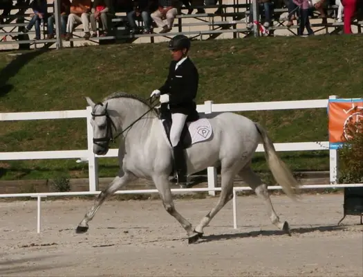 UCO GC III