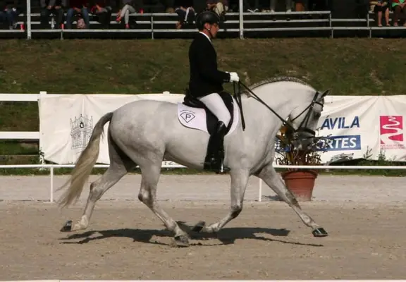 UCO GC III