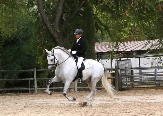 UCO GC III