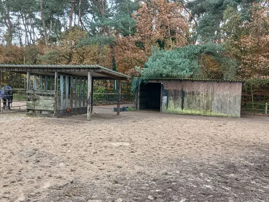 Private hengst und stuten Aufzucht