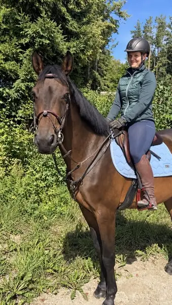 NASH – wunderschöner KWPN-Wallach mit Ausstrahlung, Vielseitigkei