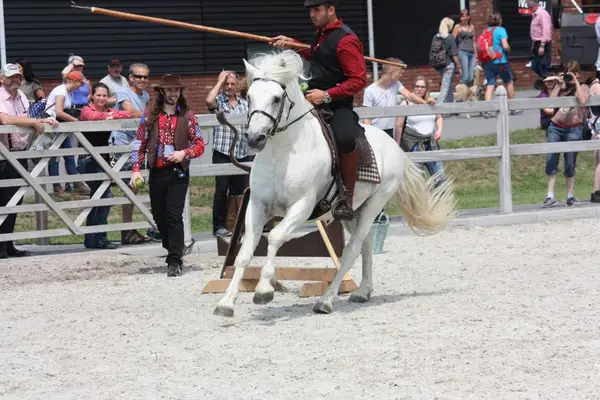 UFANO DES ISCLES