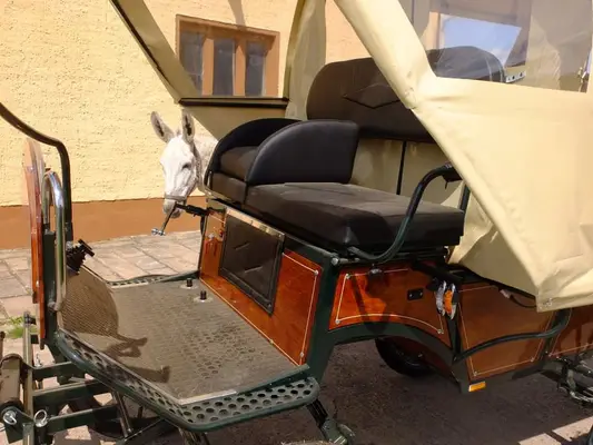 Neuer Planwagen