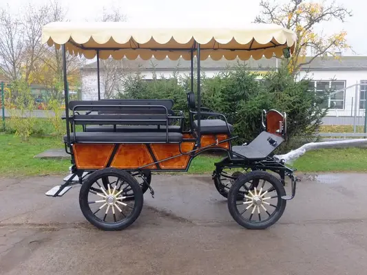 Neue Wagonette m. E-Anlage/Dach