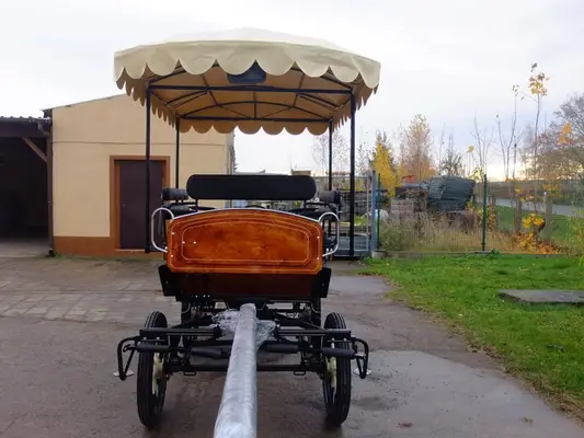 Neue Wagonette m. E-Anlage/Dach