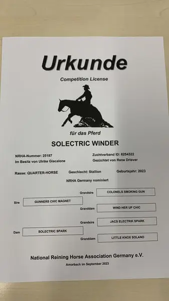 Solectric Winder