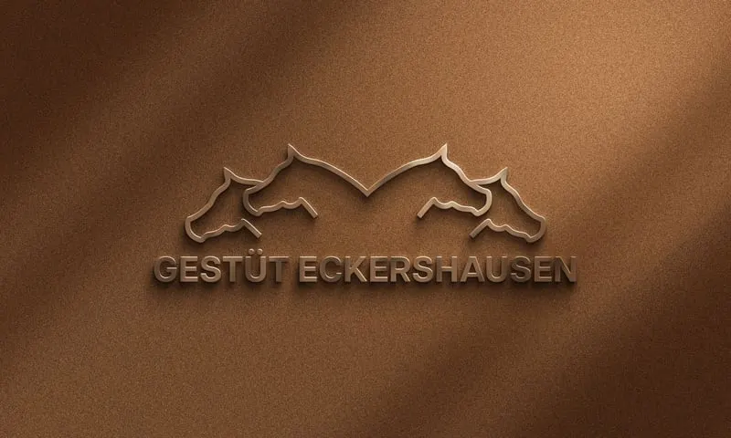 Aufzuchtsplätze & Plätze für Zuchtstuten