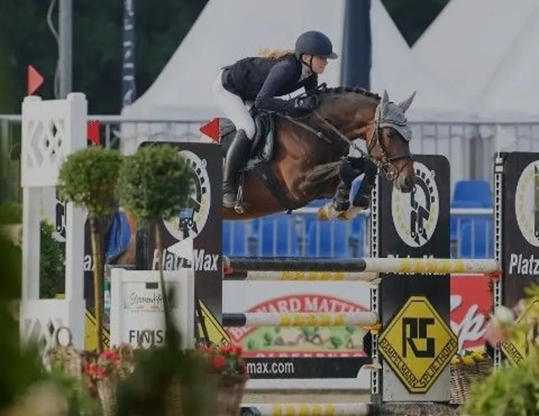 Dornik de Luxe - für alle Sparten des Ponysports