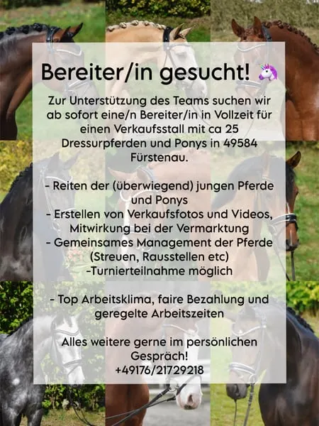 Bereiter (m/w/d) in Vollzeit gesucht!