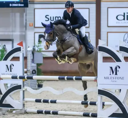 ⚜️Caballo de salto para montar ya ⚜️