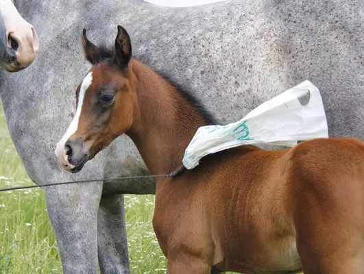 Mega coole Socke
