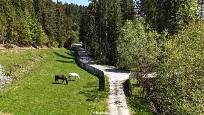 Landgut bei Birkfeld (Steiermark) - Pferdehaltung für bis zu 5 Pferde direkt am eigenen Zuhause