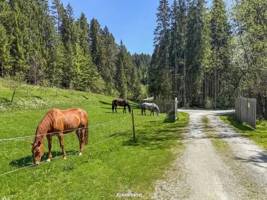 Landgut bei Birkfeld (Steiermark) - Pferdehaltung für bis zu 5 Pferde direkt am eigenen Zuhause