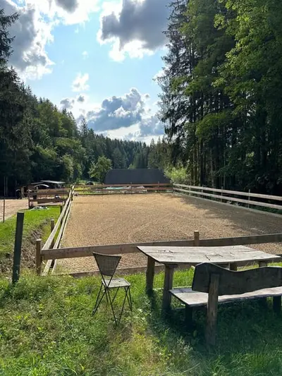 Landgut bei Birkfeld (Steiermark) - Pferdehaltung für bis zu 5 Pferde direkt am eigenen Zuhause