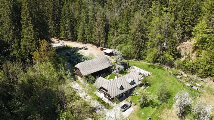 Landgut bei Birkfeld (Steiermark) - Pferdehaltung für bis zu 5 Pferde direkt am eigenen Zuhause