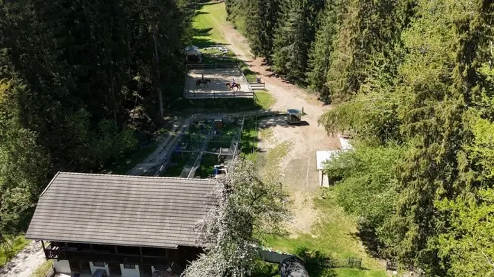 Landgut bei Birkfeld (Steiermark) - Pferdehaltung für bis zu 5 Pferde direkt am eigenen Zuhause