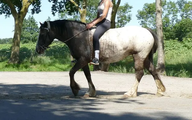 HEIKE