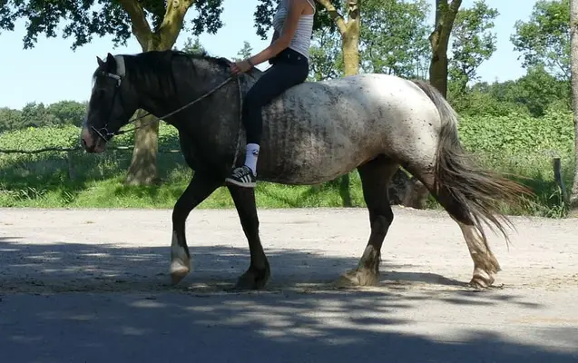 HEIKE