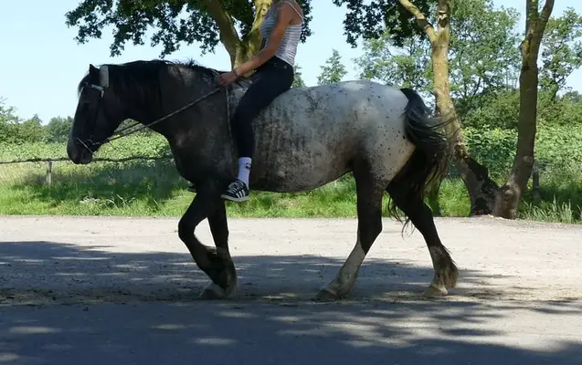 HEIKE