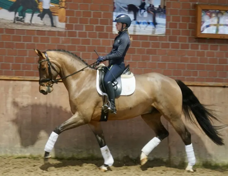 Typcharmanter Nachwuchscrack von Escolar