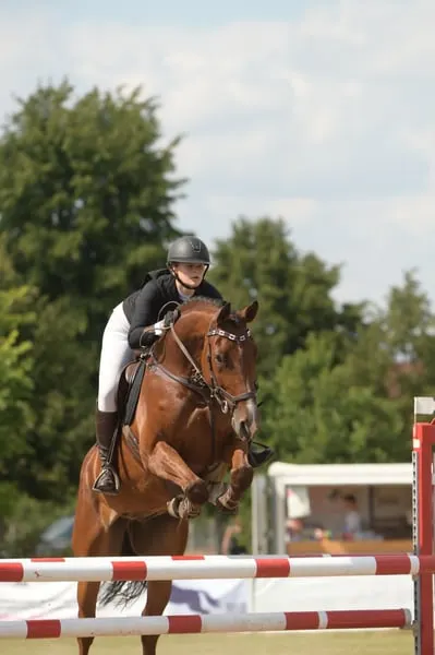 Springpferd mit großem Potenzial