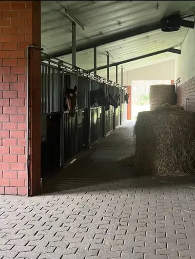 2 freie Einsteller-/Pferdeboxen zu vermieten