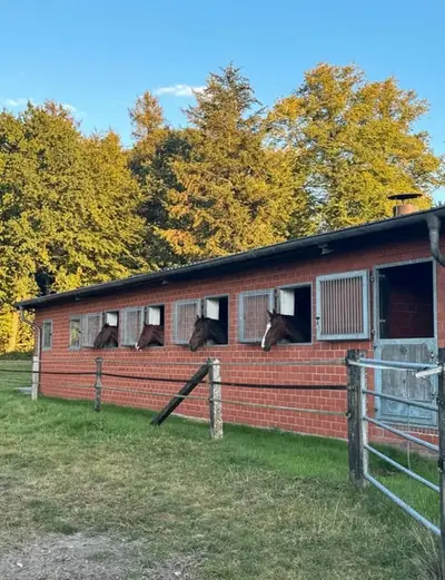 2 freie Einsteller-/Pferdeboxen zu vermieten