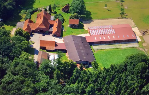 Pension/Reitpferde Aufzucht/ Jungpferde/ Zucht/ Abfohlüberwa