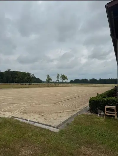 Pension/Reitpferde Aufzucht/ Jungpferde/ Zucht/ Abfohlüberwa