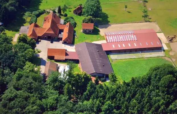 Pensionspferdehaltung Hof Kuls ( Aufzucht & Ausbildung )