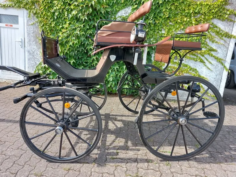 Dressurkutsche für Ponys