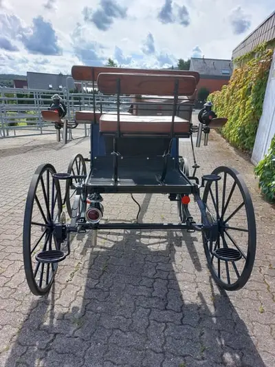 Dressurkutsche für Ponys