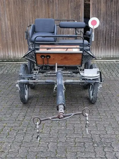Fahrschulwagen für Ponys