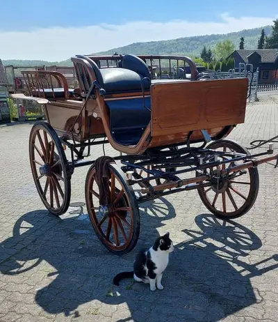 Allgäuer Wagonette von Kühnle