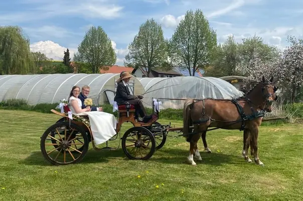 Hochzeitskutsche