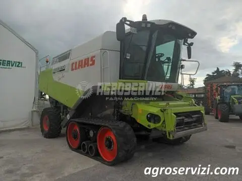 Claas MIETITREBBIA CLAAS LEXION 600 TT (ANNO 2009)