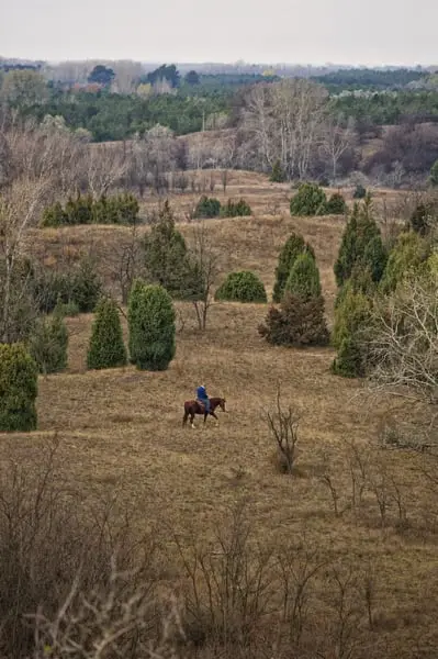Ihr Anteil am Paradies – El Bronco Ranch, Ungarn