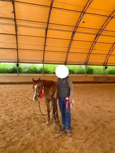 Toller Quarter Horse Wallach, red dun, 05/23
