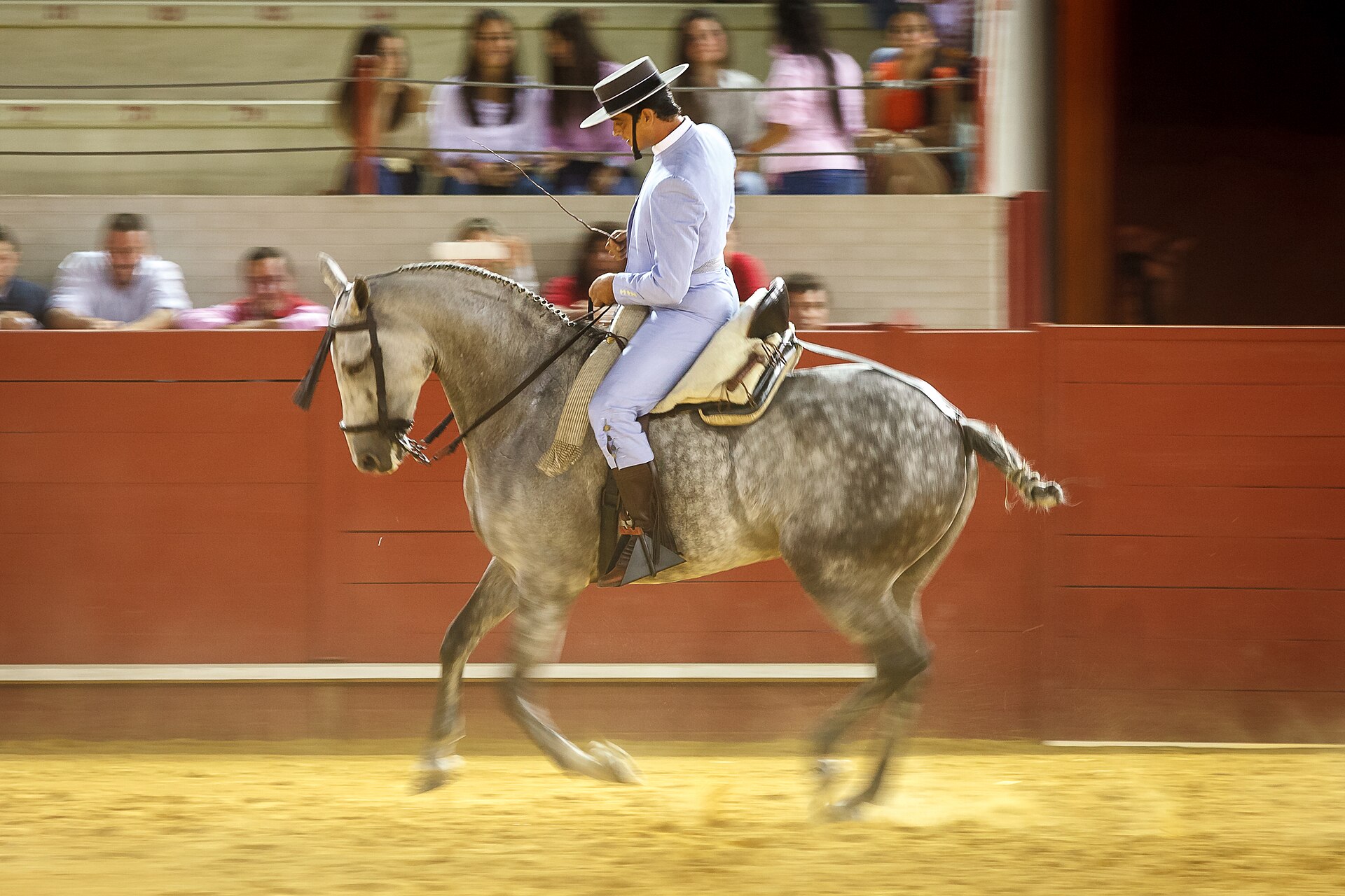 Doma Vaquera: Equipo, Disciplinas y Competiciones de la Equitación de Trabajo Española