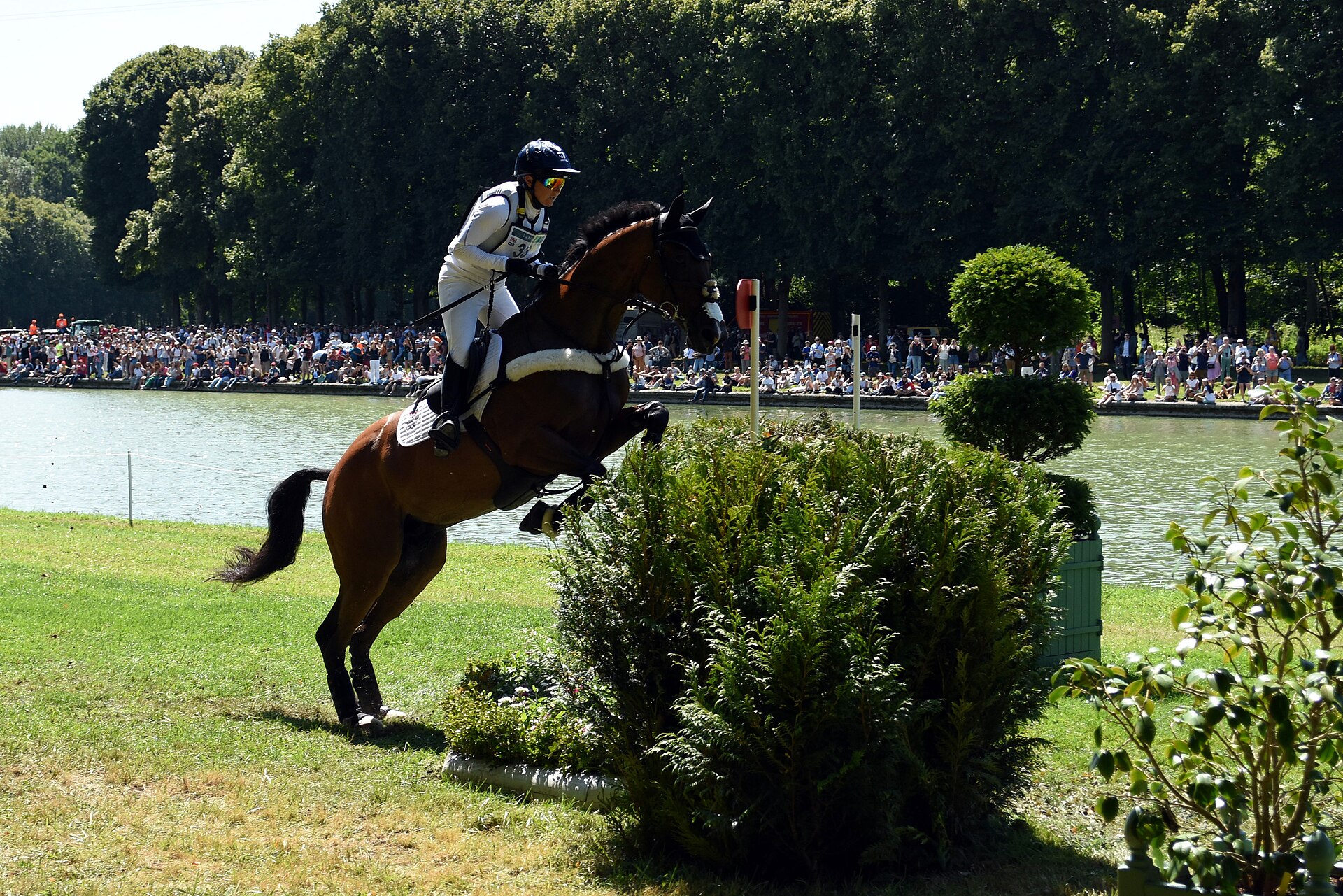 HOYS 2026: Laura Collett y Edwin Prosser juzgarán los Campeonatos Supremos